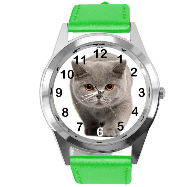 ENGLISH SHORTHAIR CAT KITTY PUSSY CATS PET GREEN LEATHER CD DVD TV QUARTZ WATCH