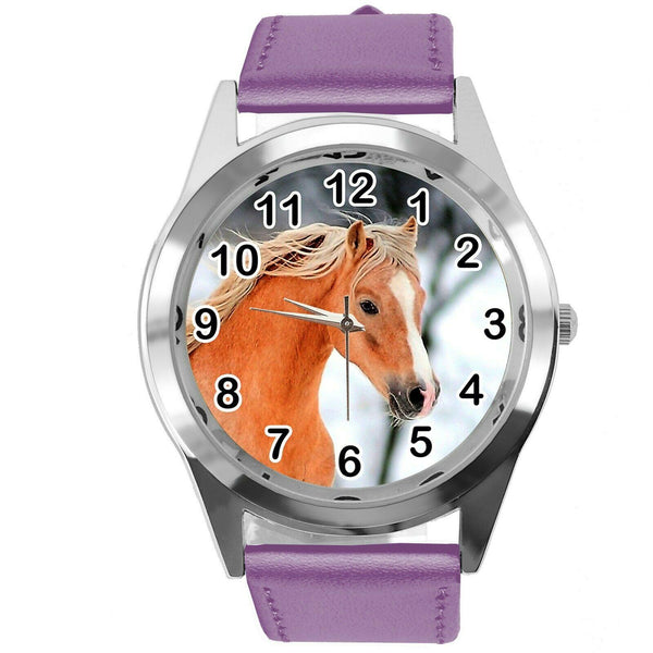 BEAUTIFUL HORSE MARE STALLION FILLY COLT FOAL PONY CD DVD PURPLE LEATHER WATCH