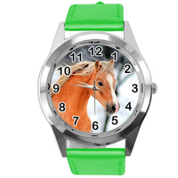 BEAUTIFUL HORSE MARE STALLION FILLY COLT FOAL PONY CD DVD GREEN LEATHER WATCH