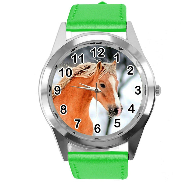 BEAUTIFUL HORSE MARE STALLION FILLY COLT FOAL PONY CD DVD GREEN LEATHER WATCH