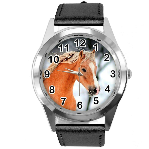 BEAUTIFUL HORSE MARE STALLION FILLY COLT FOAL PONY CD DVD BLACK LEATHER WATCH