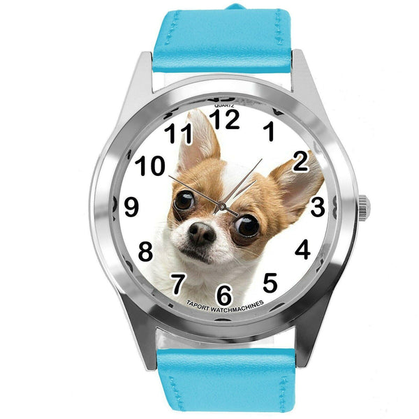 BEVERLY HILLS CHIHUAHUA FILM DOG PUPPY PET ANIMAL BLUE LEATHER Mexico DVD WATCH