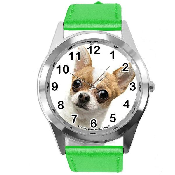 BEVERLY HILLS CHIHUAHUA FILM DOG PUPPY PET ANIMAL GREEN LEATHER Mexico DVD WATCH