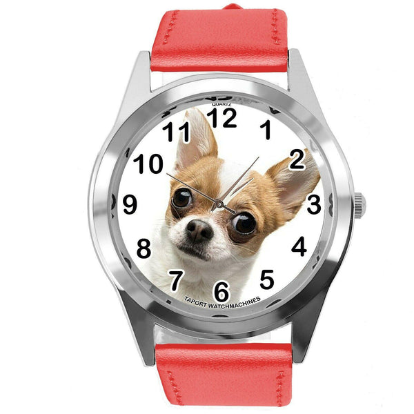 BEVERLY HILLS CHIHUAHUA FILM DOG PUPPY PET ANIMAL RED LEATHER Mexico DVD WATCH