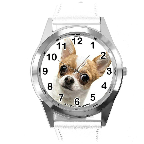 BEVERLY HILLS CHIHUAHUA FILM DOG PUPPY PET ANIMAL WHITE LEATHER Mexico DVD WATCH