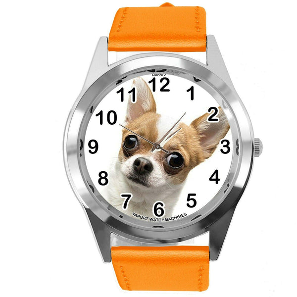 BEVERLY HILLS CHIHUAHUA FILM DOG PUPPY ANIMAL ORANGE LEATHER Mexico DVD WATCH