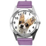 BEVERLY HILLS CHIHUAHUA FILM DOG PUPPY ANIMAL PURPLE LEATHER Mexico DVD WATCH