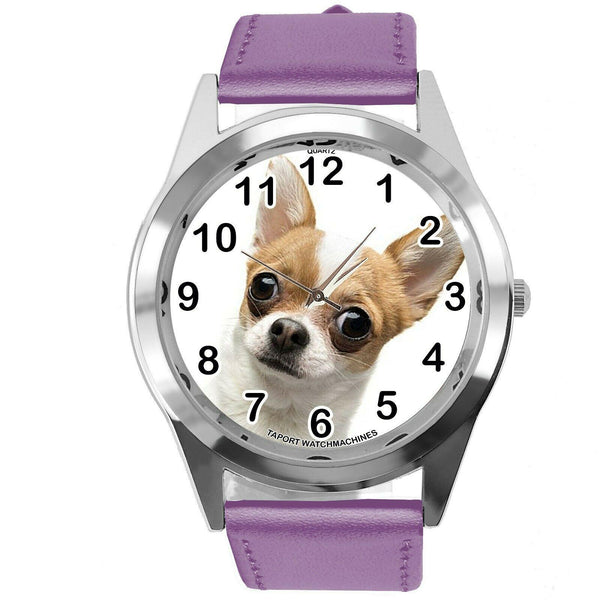 BEVERLY HILLS CHIHUAHUA FILM DOG PUPPY ANIMAL PURPLE LEATHER Mexico DVD WATCH