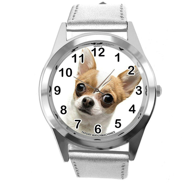 BEVERLY HILLS CHIHUAHUA FILM DOG PUPPY ANIMAL SILVER LEATHER Mexico DVD WATCH
