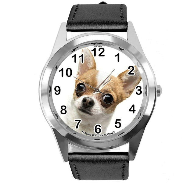 BEVERLY HILLS CHIHUAHUA FILM DOG PUPPY PET ANIMAL Black LEATHER Mexico DVD WATCH