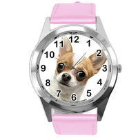 BEVERLY HILLS CHIHUAHUA FILM DOG PUPPY PET ANIMAL PINK LEATHER Mexico DVD WATCH