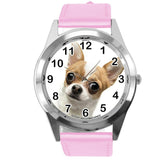 BEVERLY HILLS CHIHUAHUA FILM DOG PUPPY PET ANIMAL PINK LEATHER Mexico DVD WATCH
